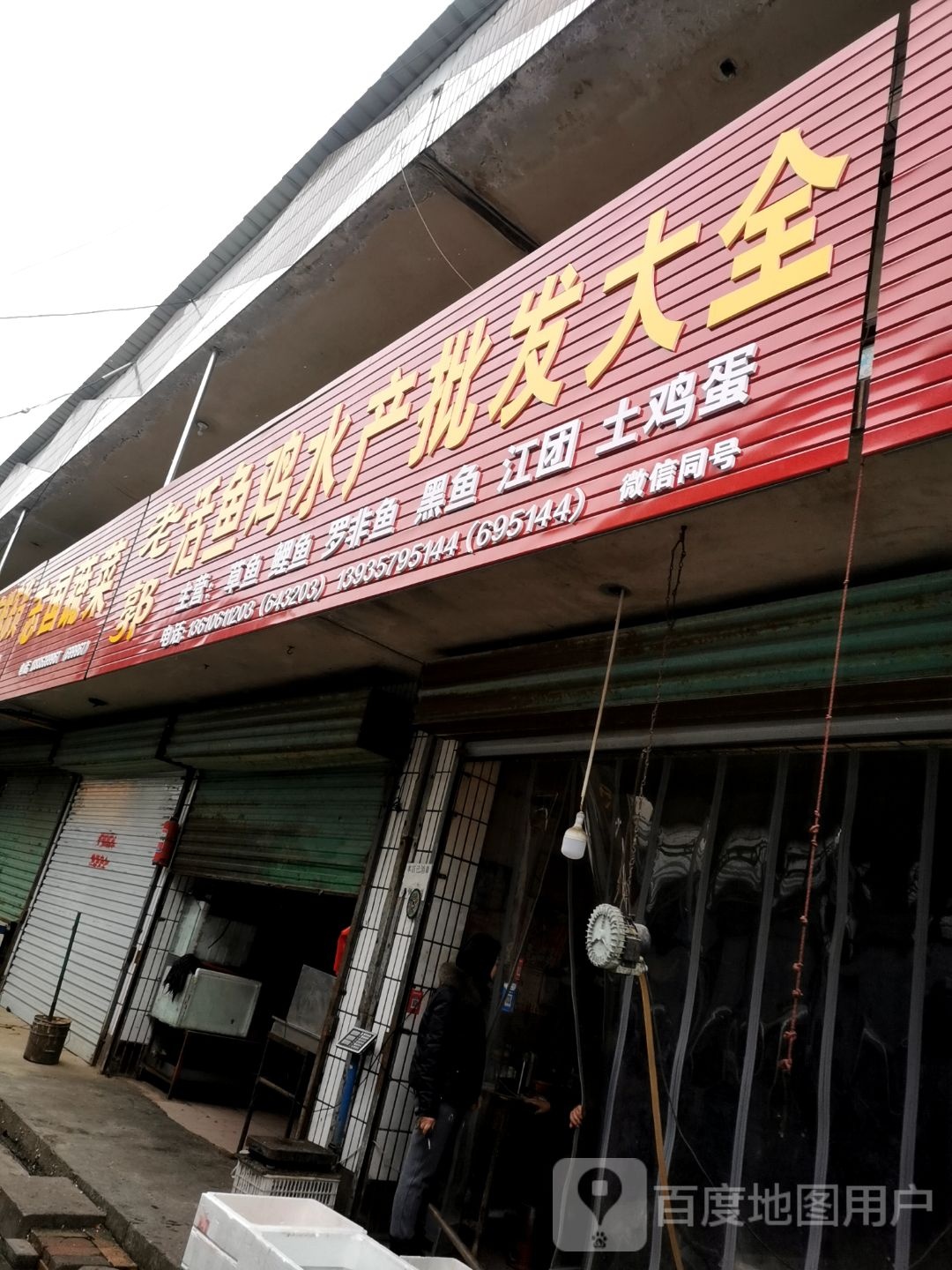 老郭活鱼鸡水产批发大钱
