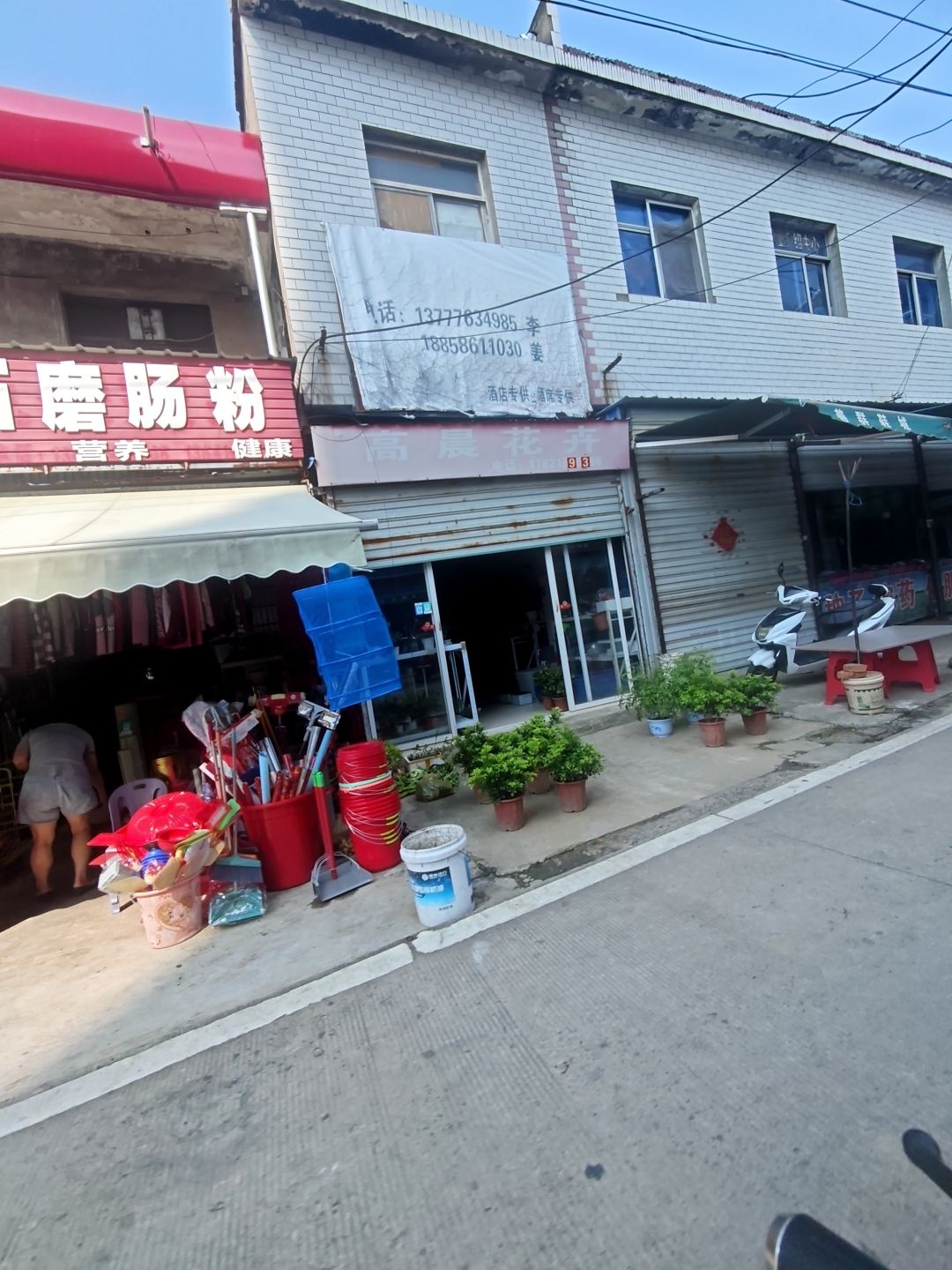 浙江海鲜水产批发零售