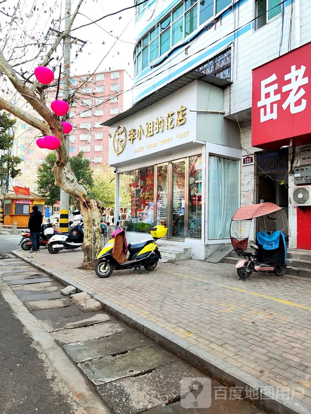 桐柏县李小姐的花店