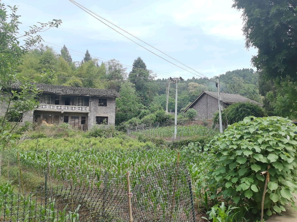 平安乡金岭村6组74号