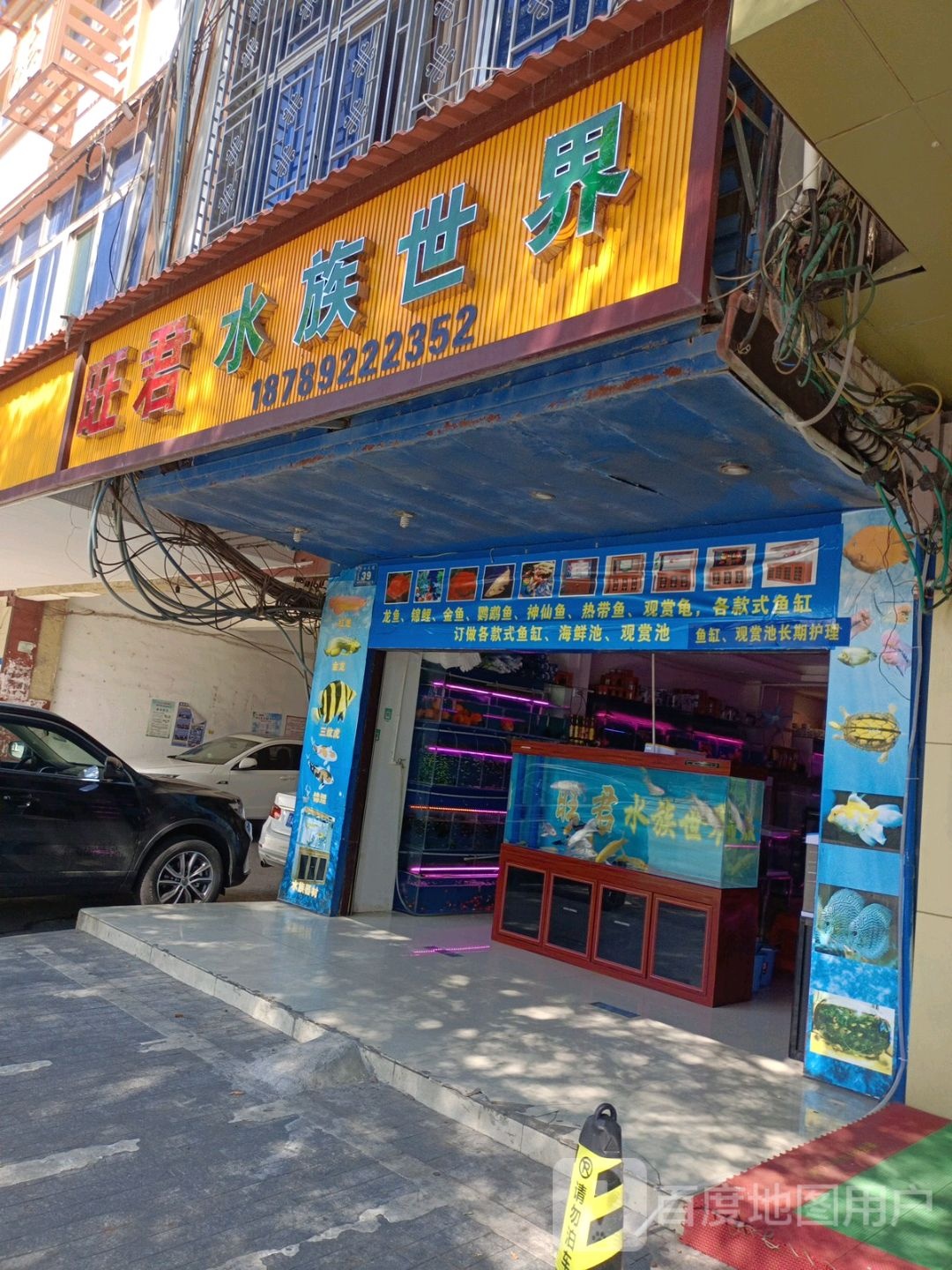 旺君水族世界(工商大厦店)