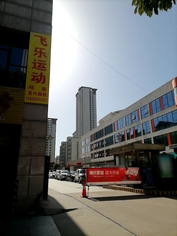 飞乐运动
