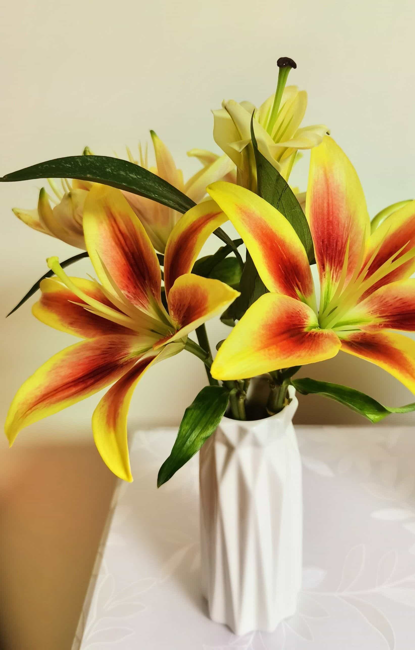 倾心花艺