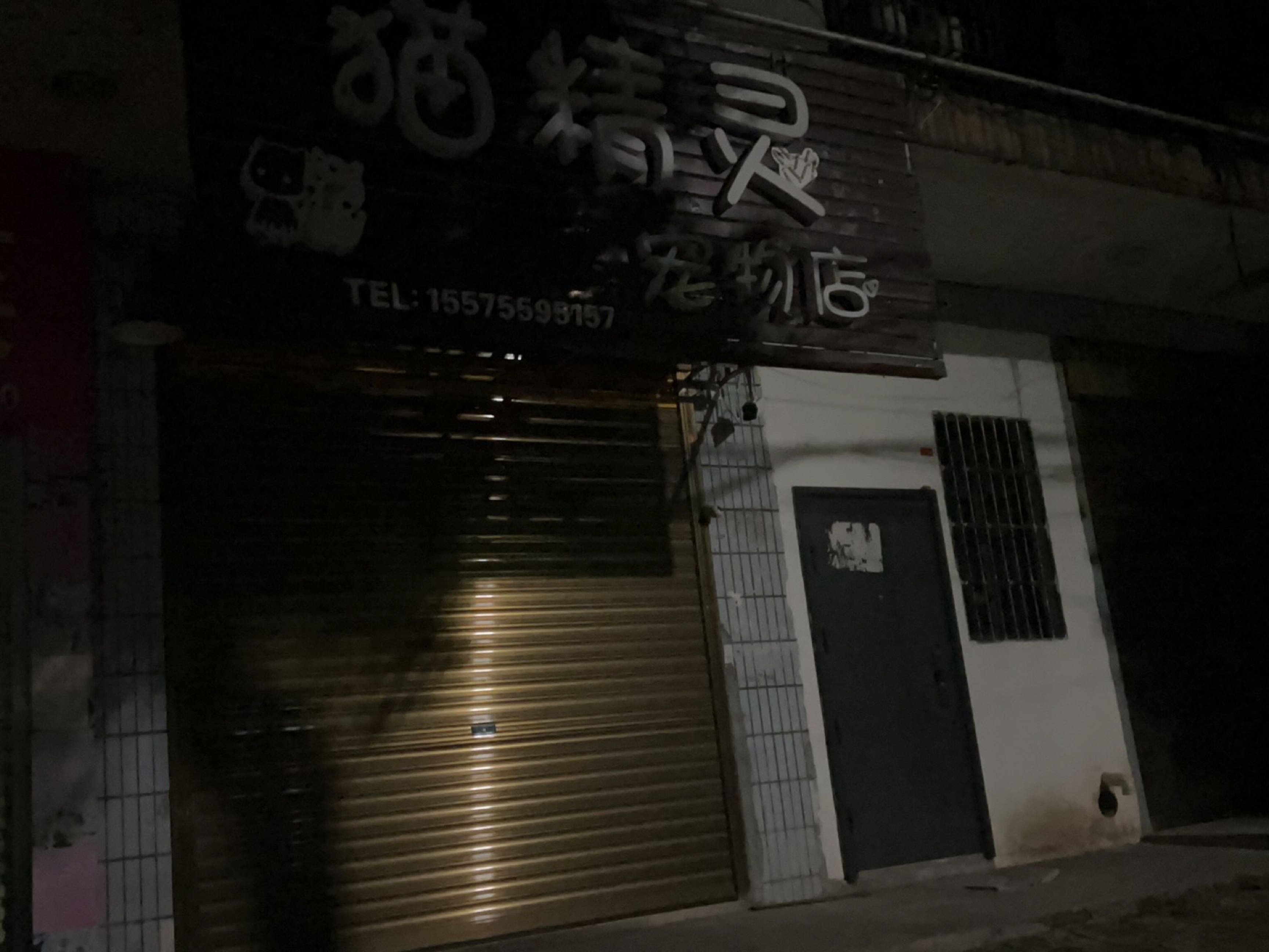 猫精灵宠物店