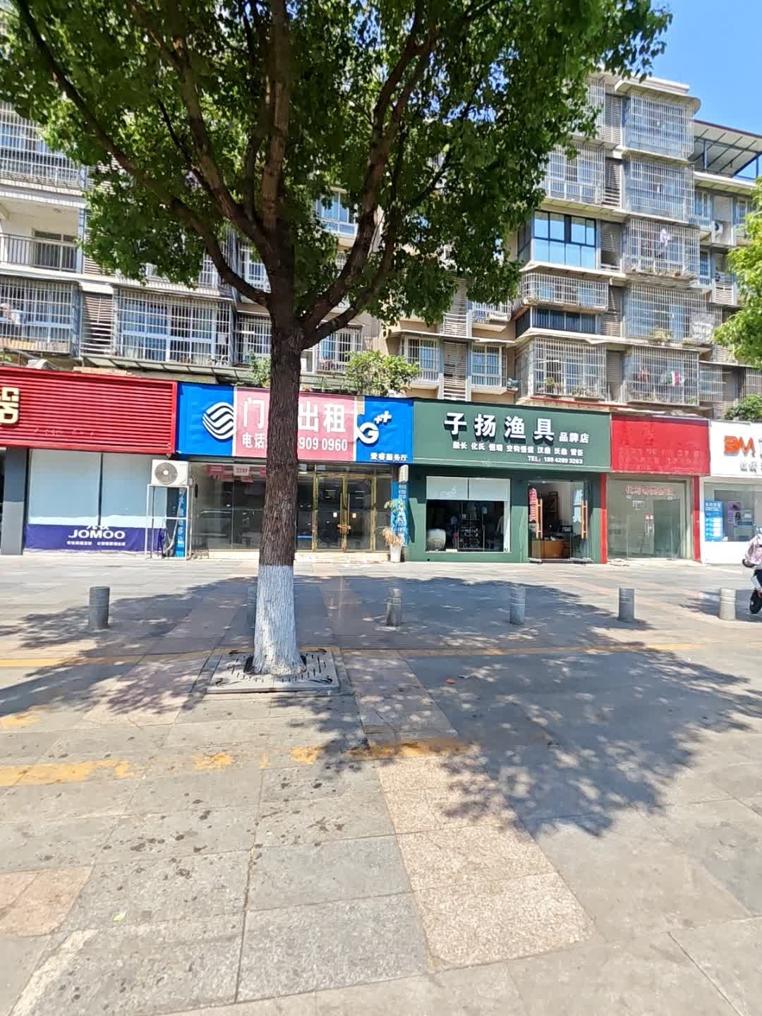 子扬渔具品牌店