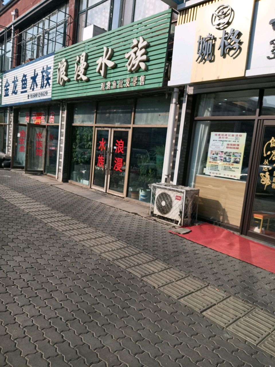 浪漫水族(宝捷在水一方2期店)