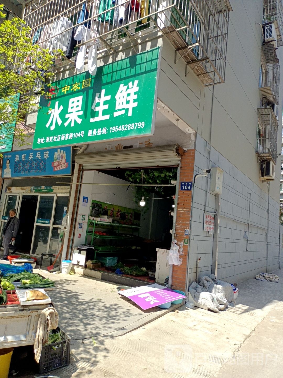 彩红乒乓球