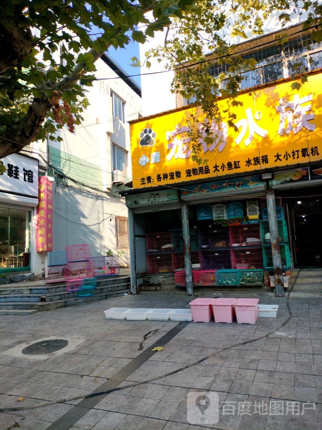 小鹿宠物水族馆(前委路商业步行街店)