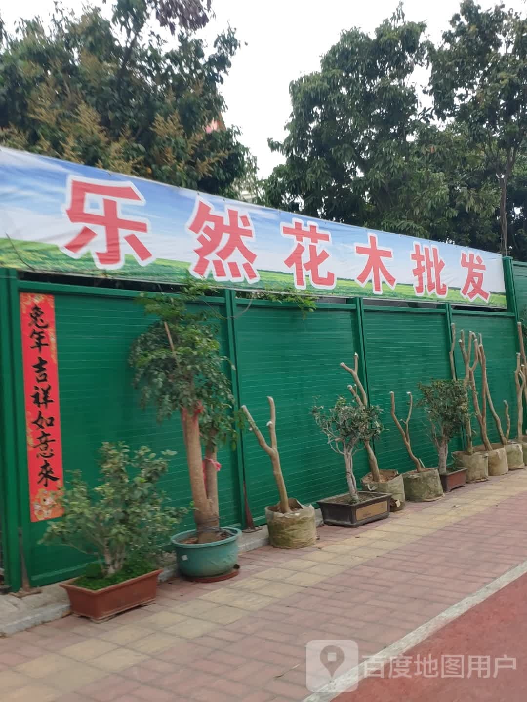 乐然花木批发