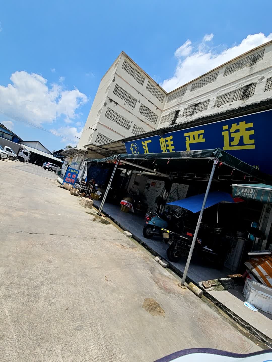 汇蚝净化生蚝玉林批发部