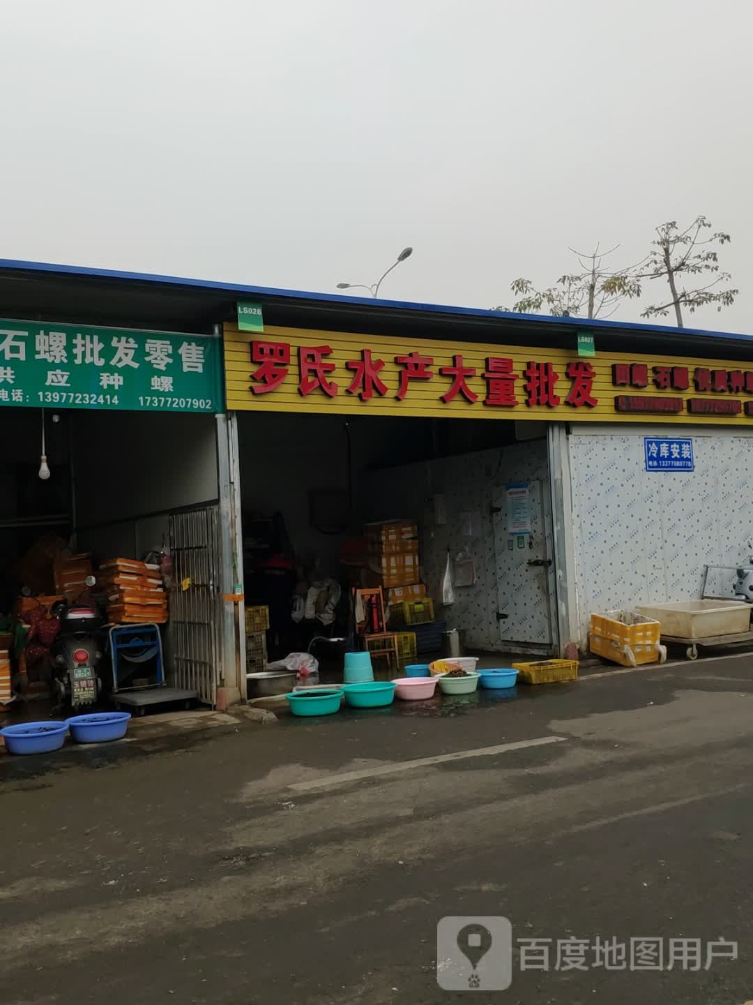 罗氏睡产大量批发