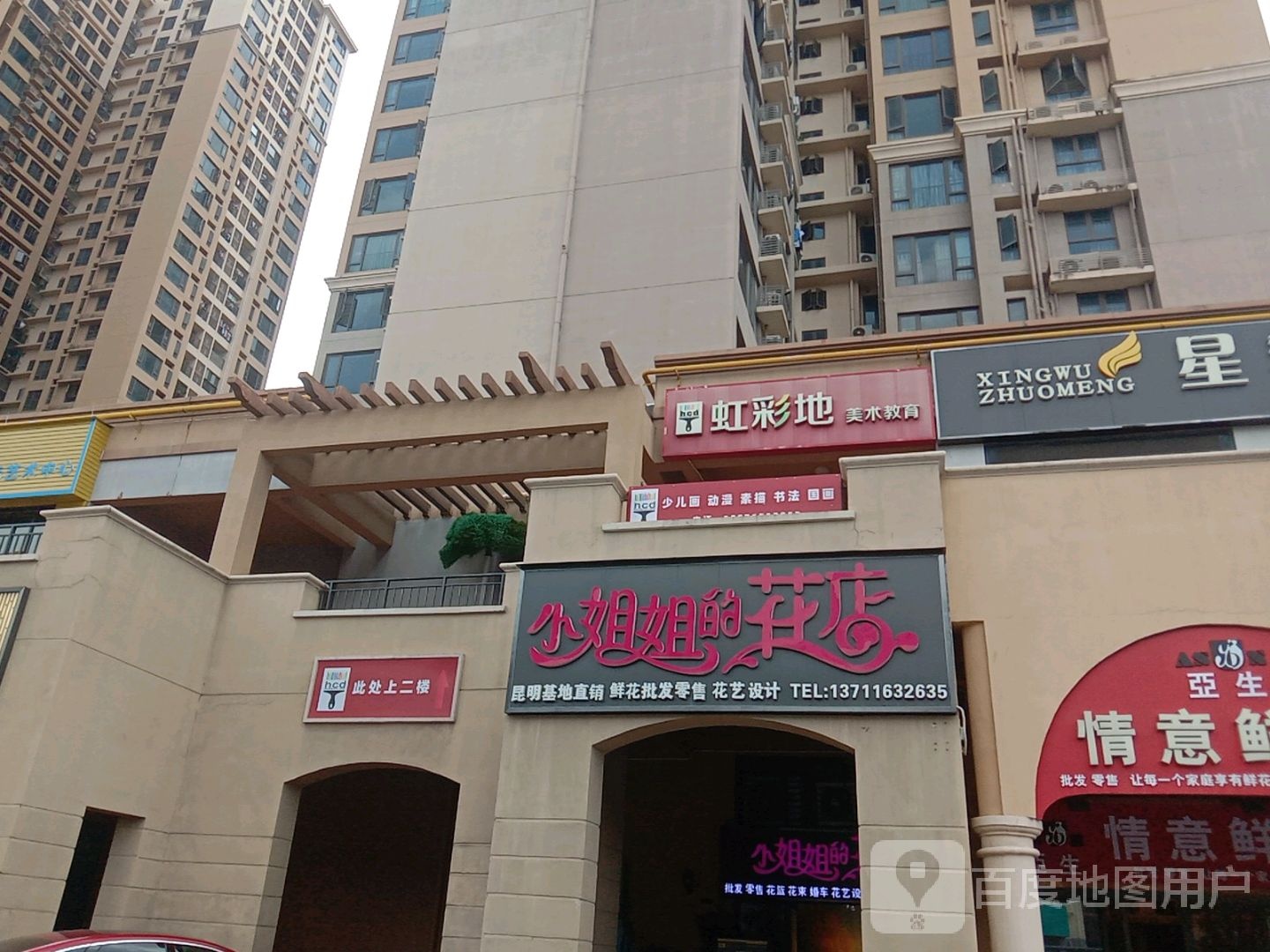 小姐姐的花店