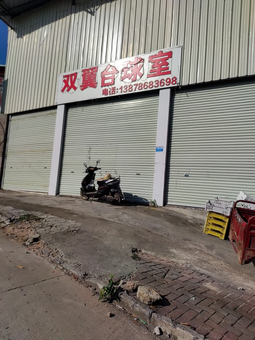 双翼台球室