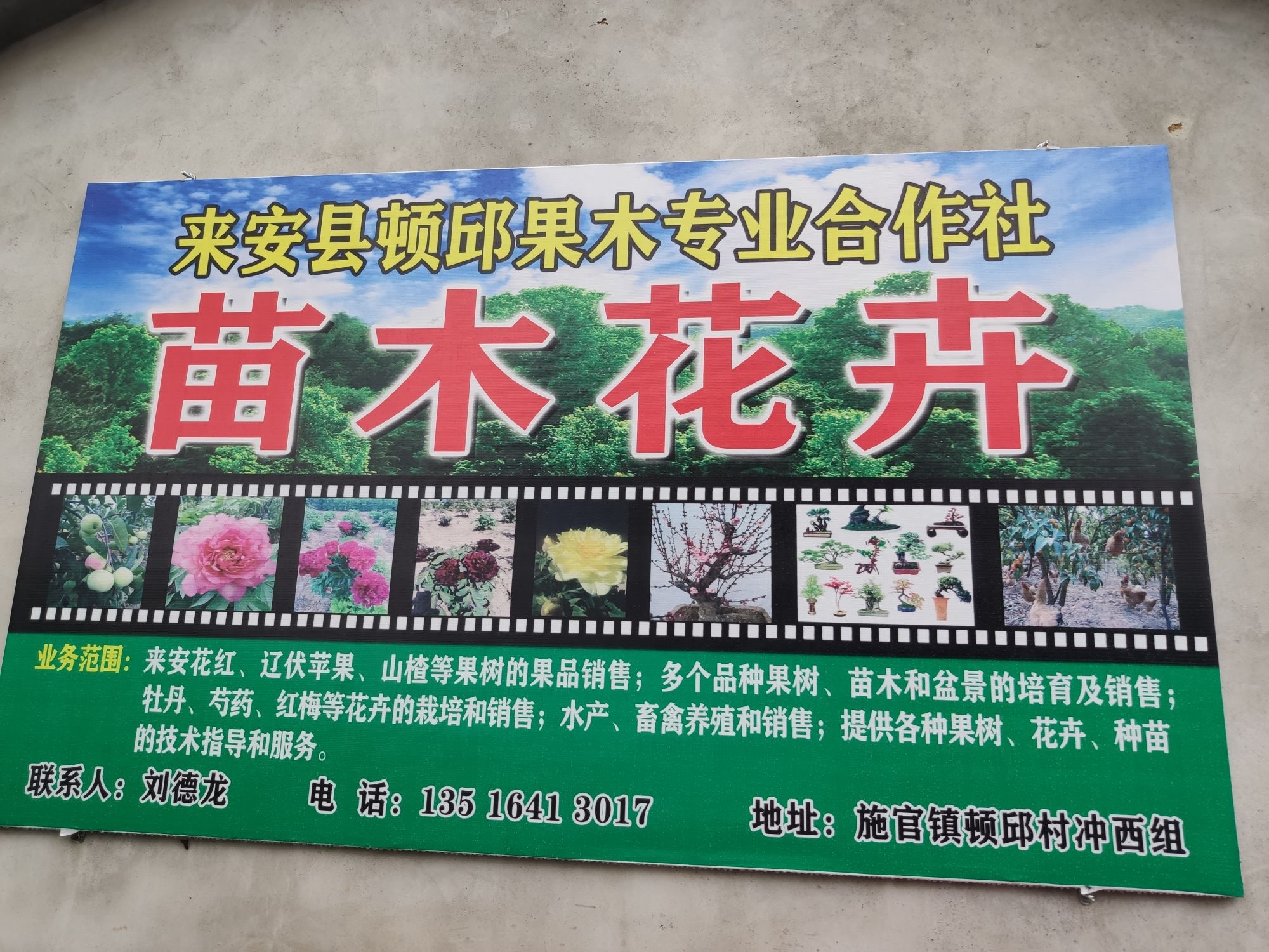 来安县邱顿果木专业合作社