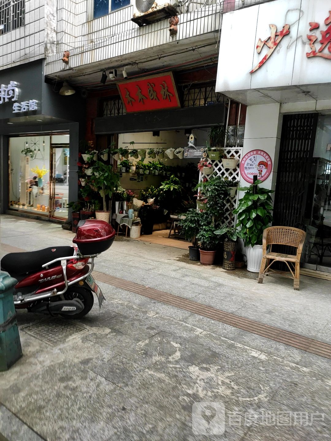 融安木木成林花卉店(新兴路店)