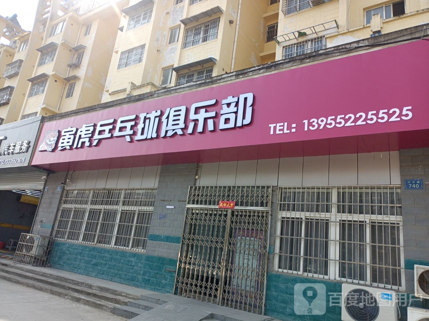 寅虎乒乓球马俱部