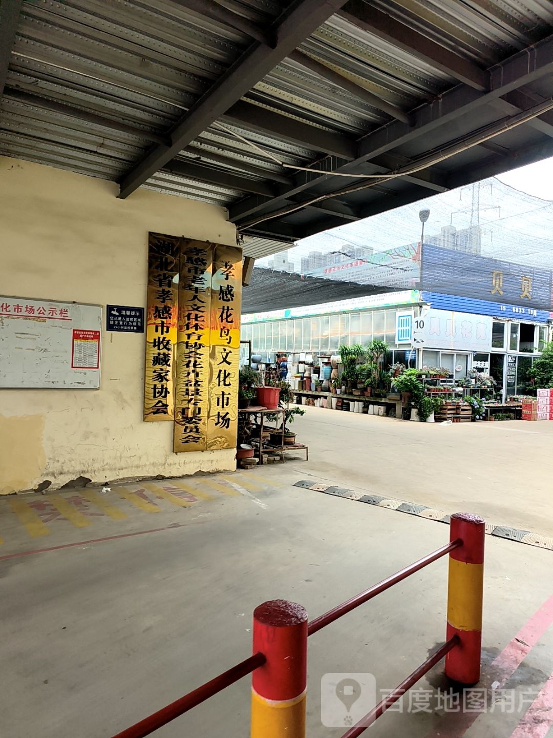 湖北省孝感市收藏家协会