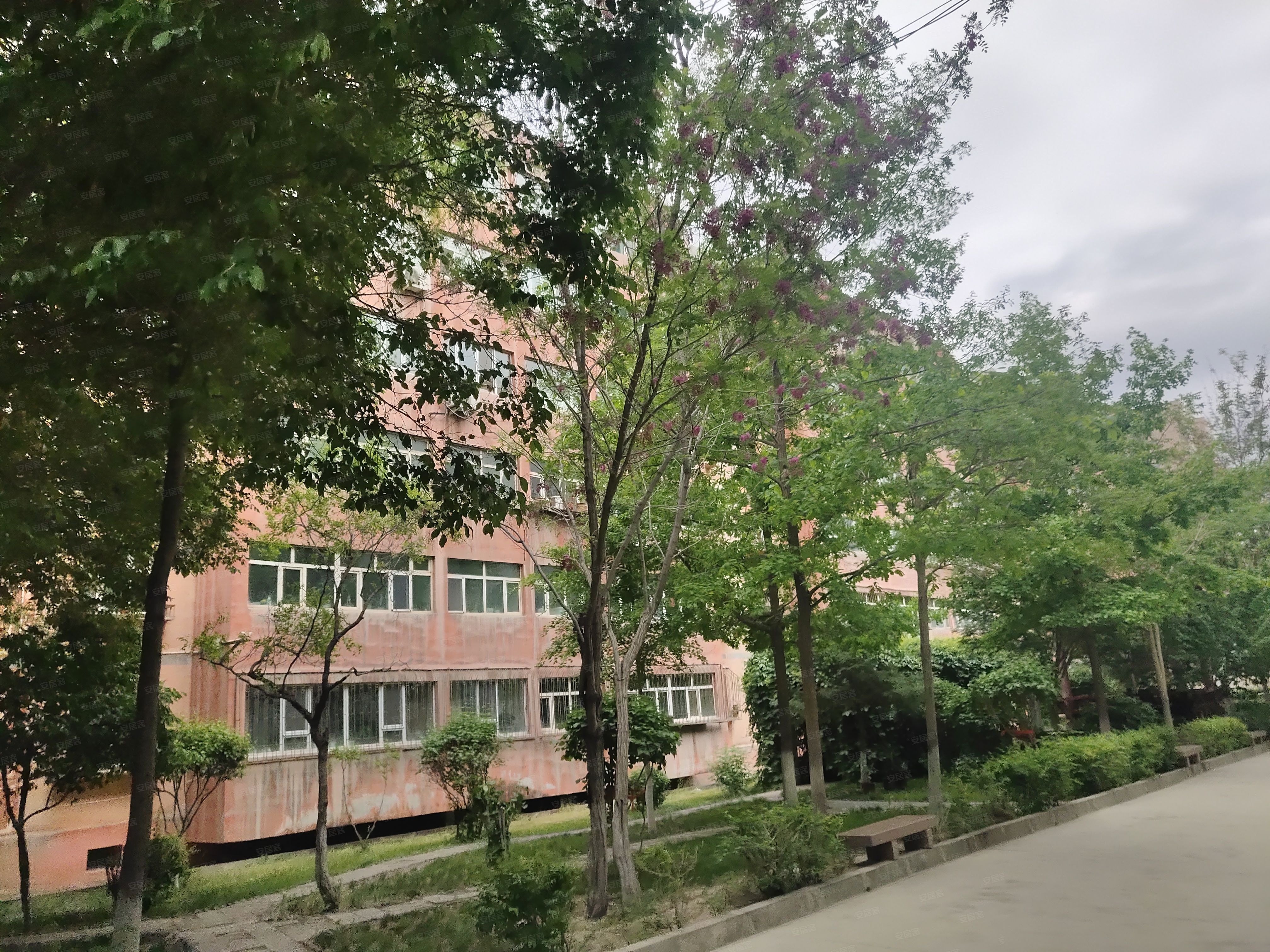 烟草局家属院