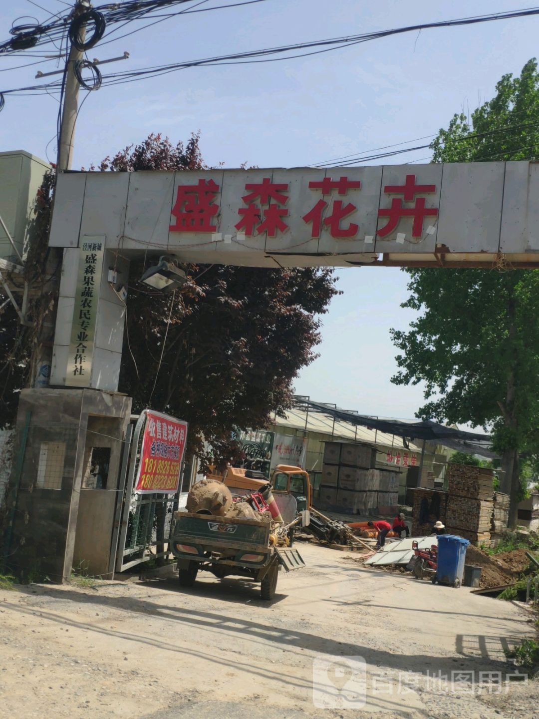 盛森花卉