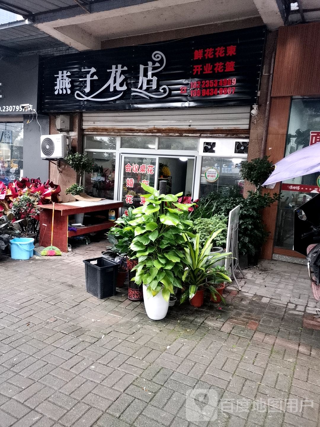 燕子花店