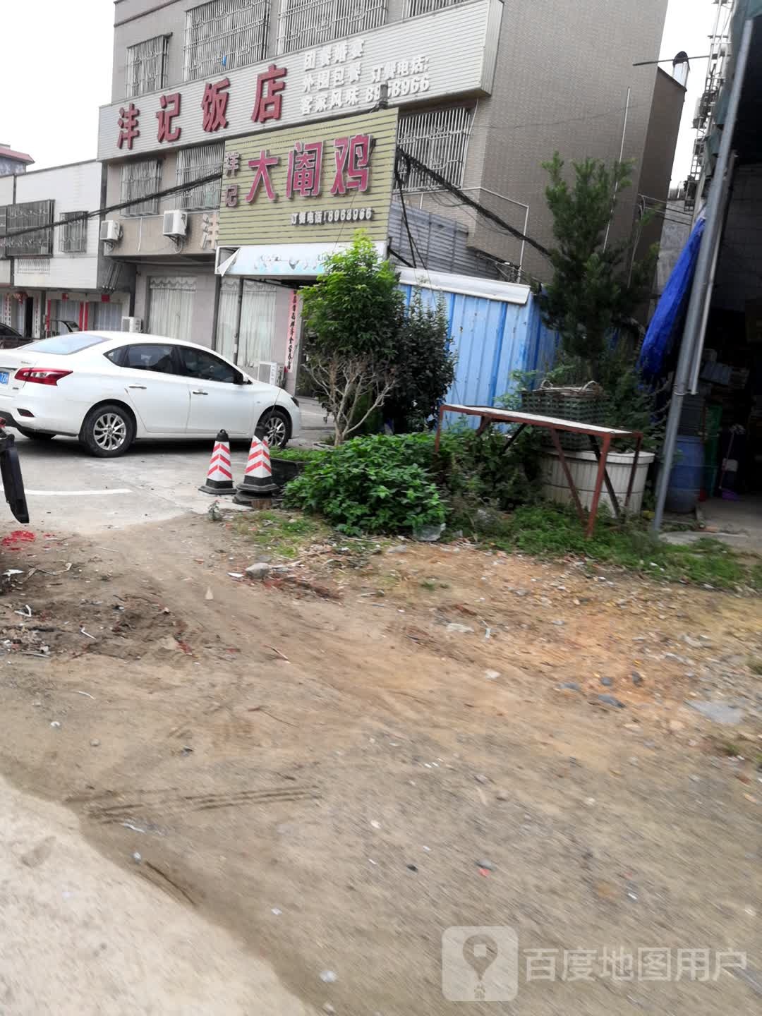 洋记大阉鸡