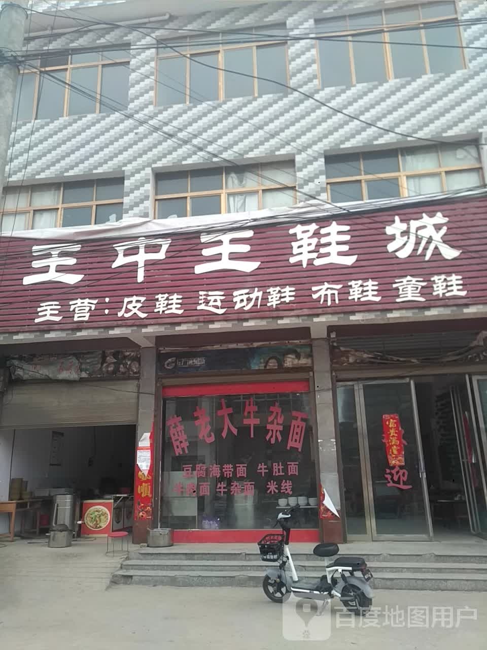 邓州市桑庄镇王中王鞋城