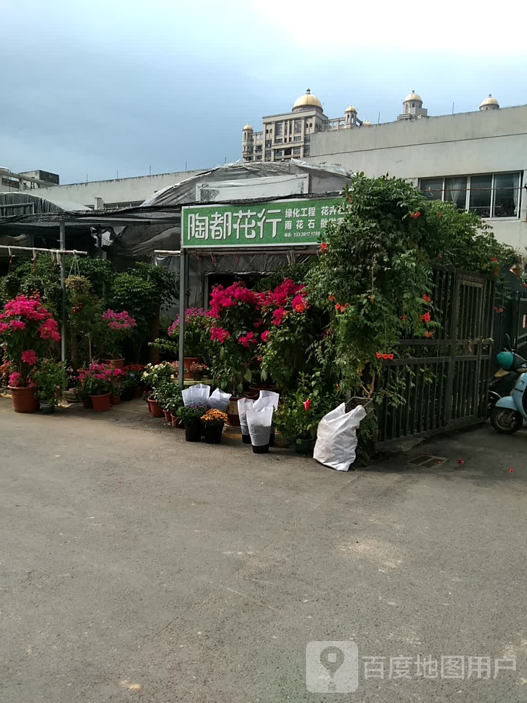 陶都花行