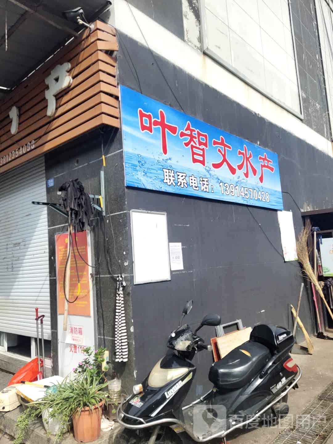 叶智文水产