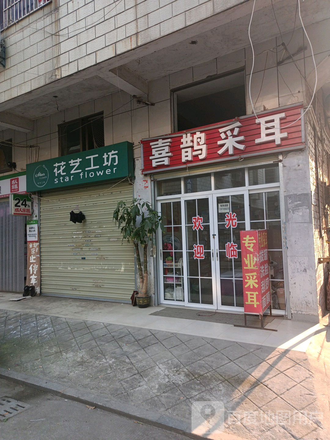 喜鹊采耳