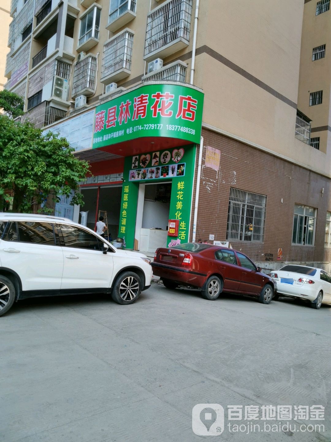 藤县林清花店