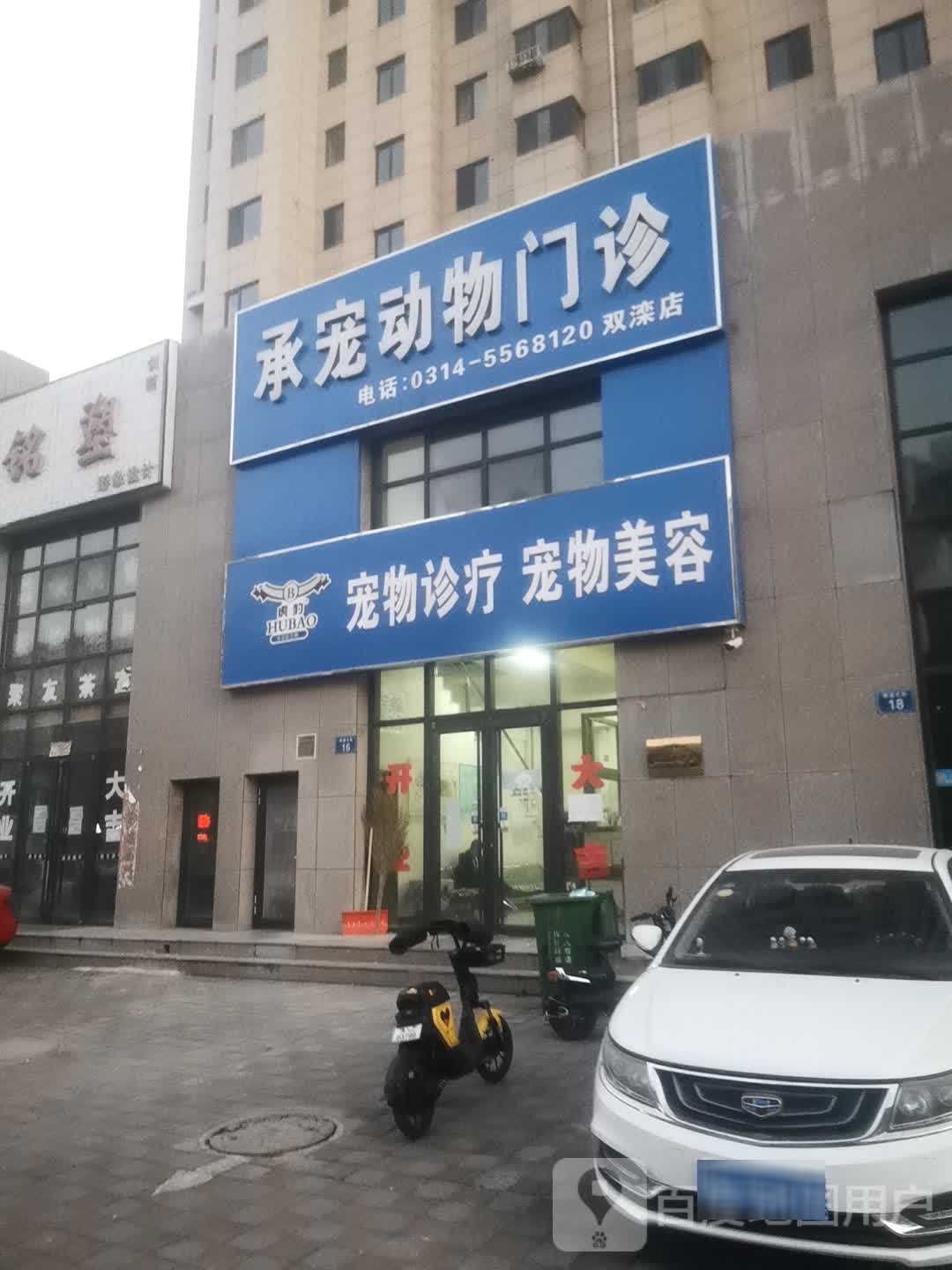 宠物诊疗宠物美容