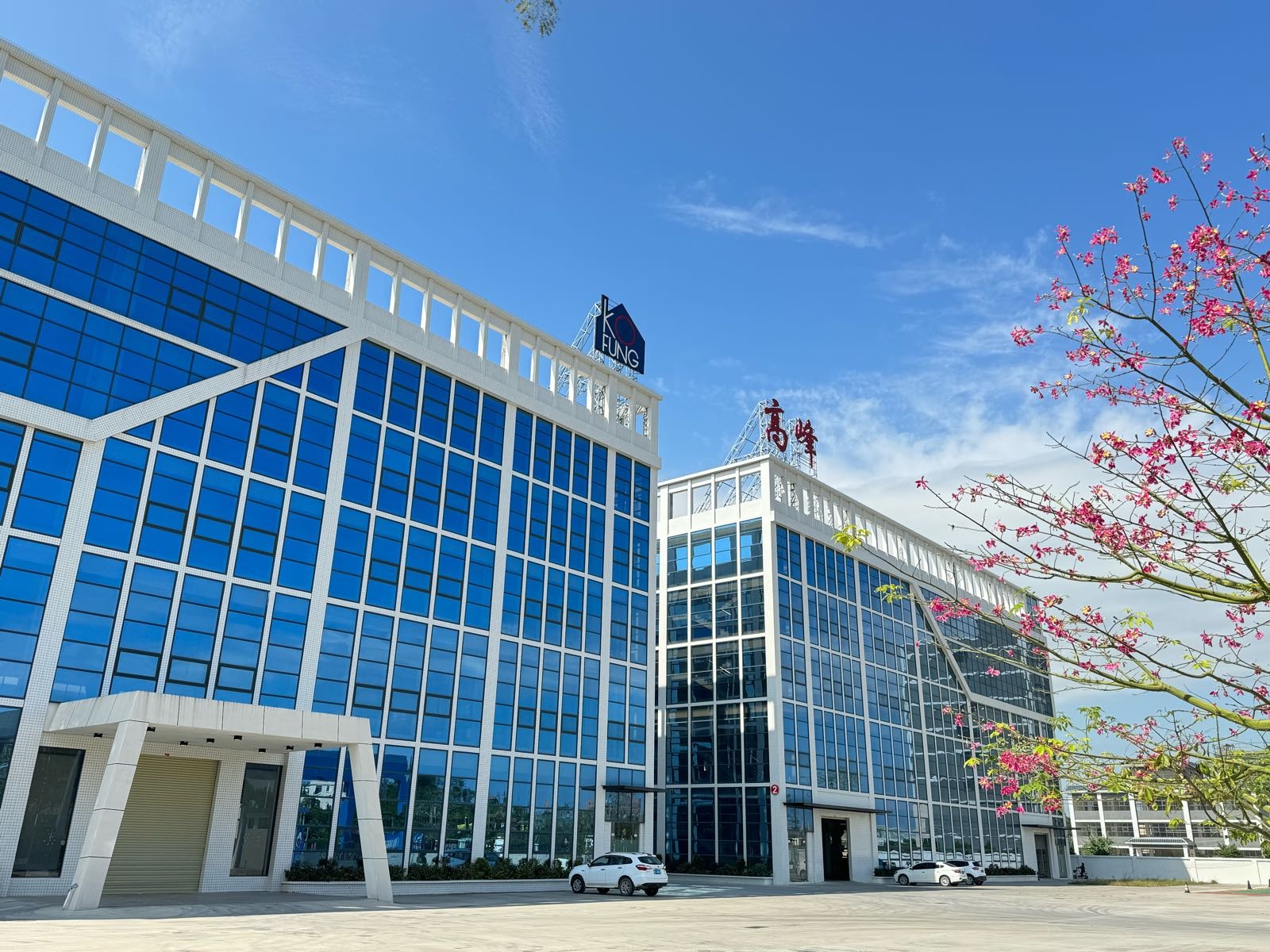 阳江市高峰工贸有限公司