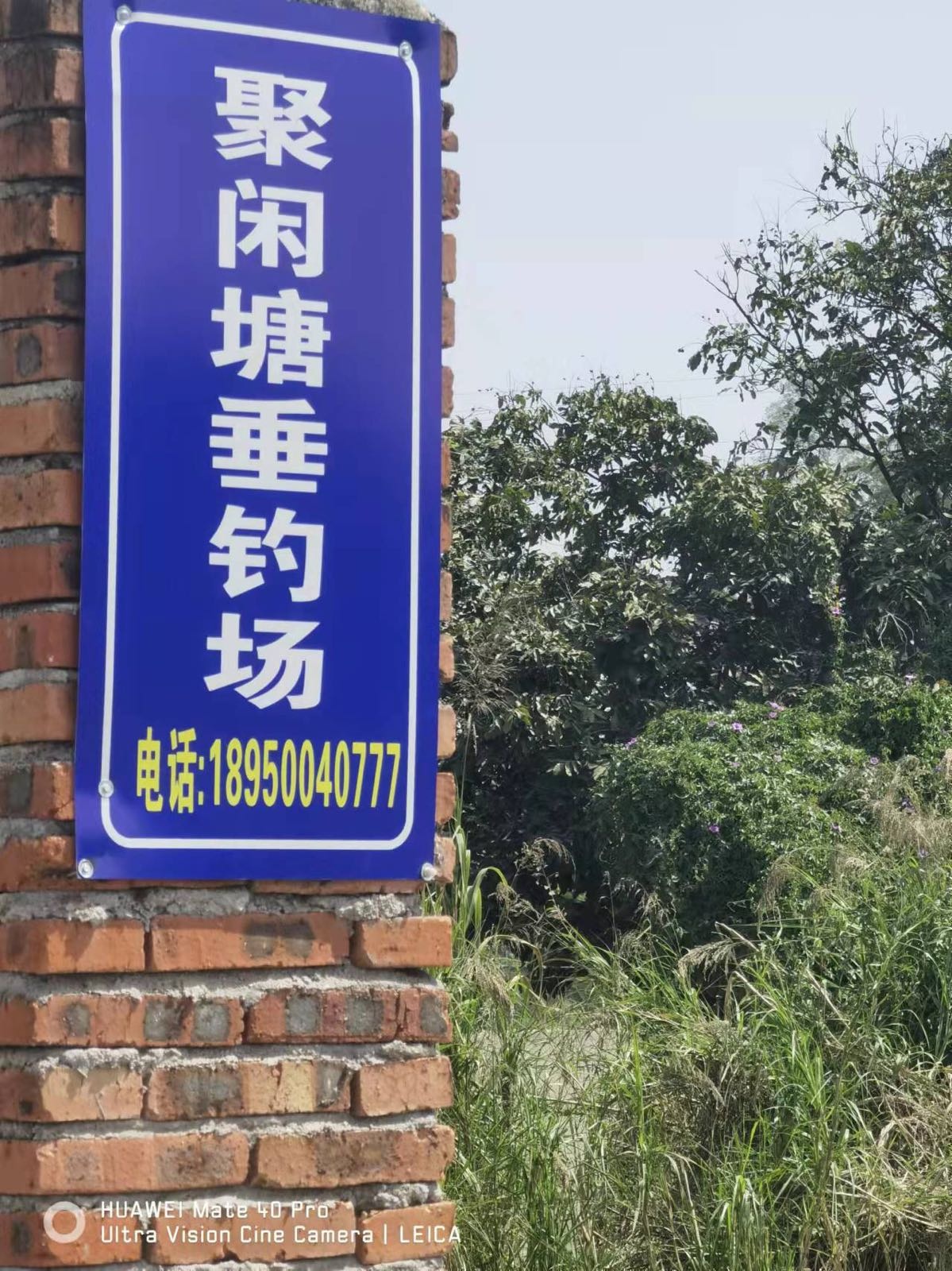 聚闲塘垂钓场