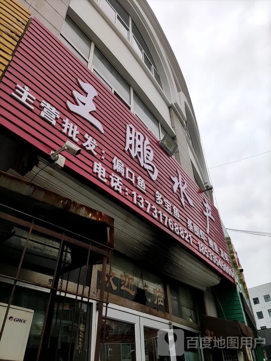 王朋水产
