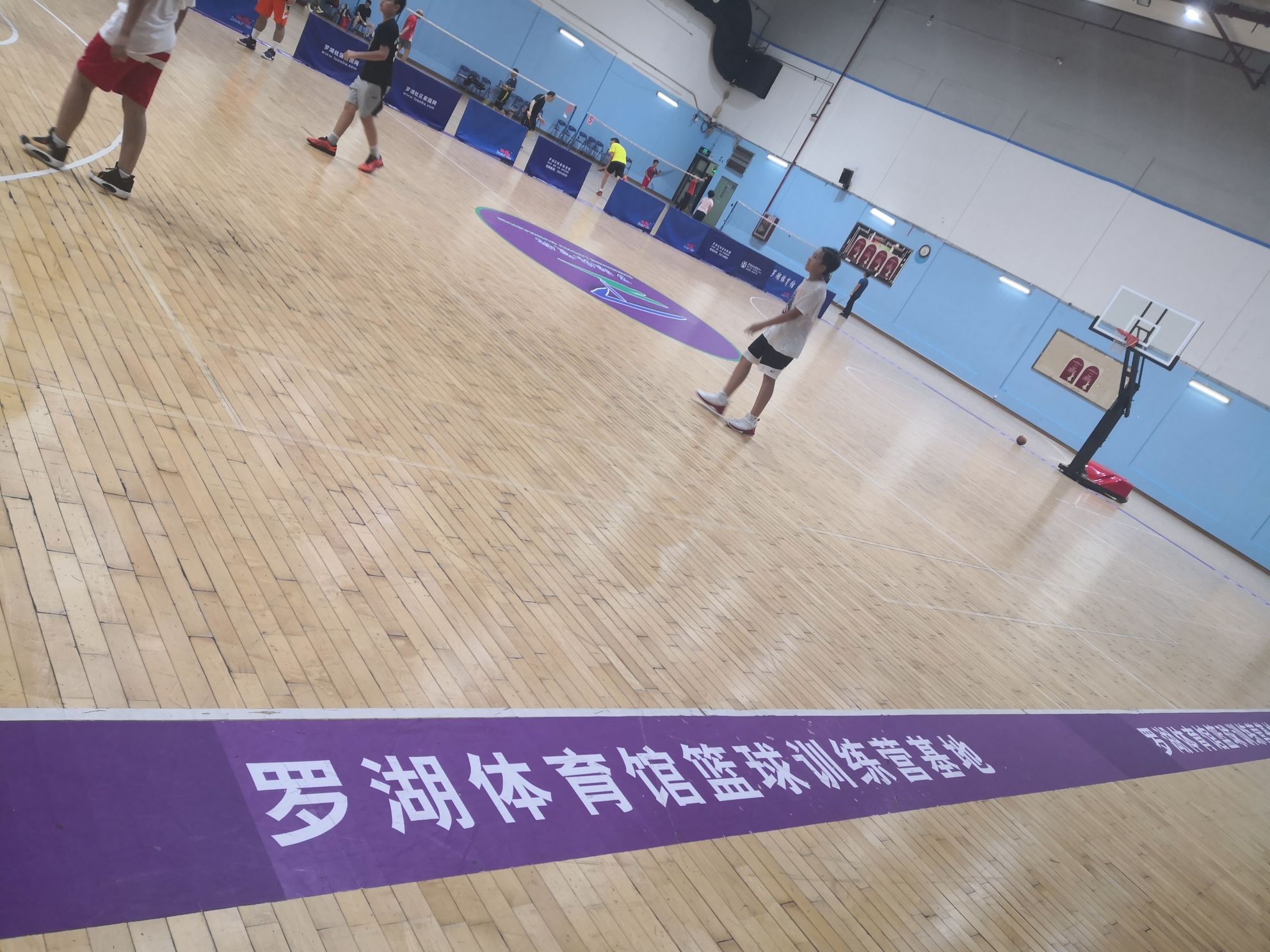 罗湖体育馆篮球训练营