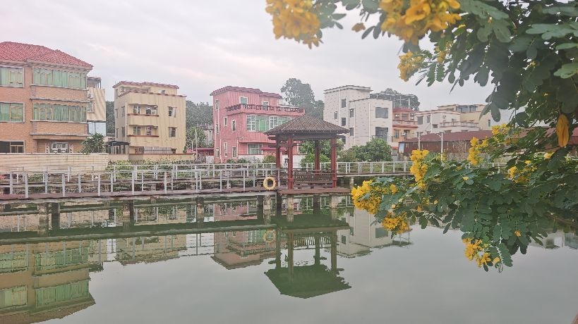 沙田湿地公园
