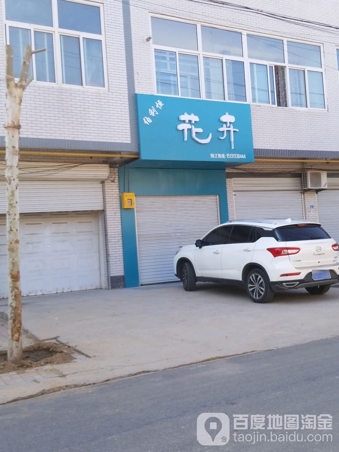 伯利恒花卉