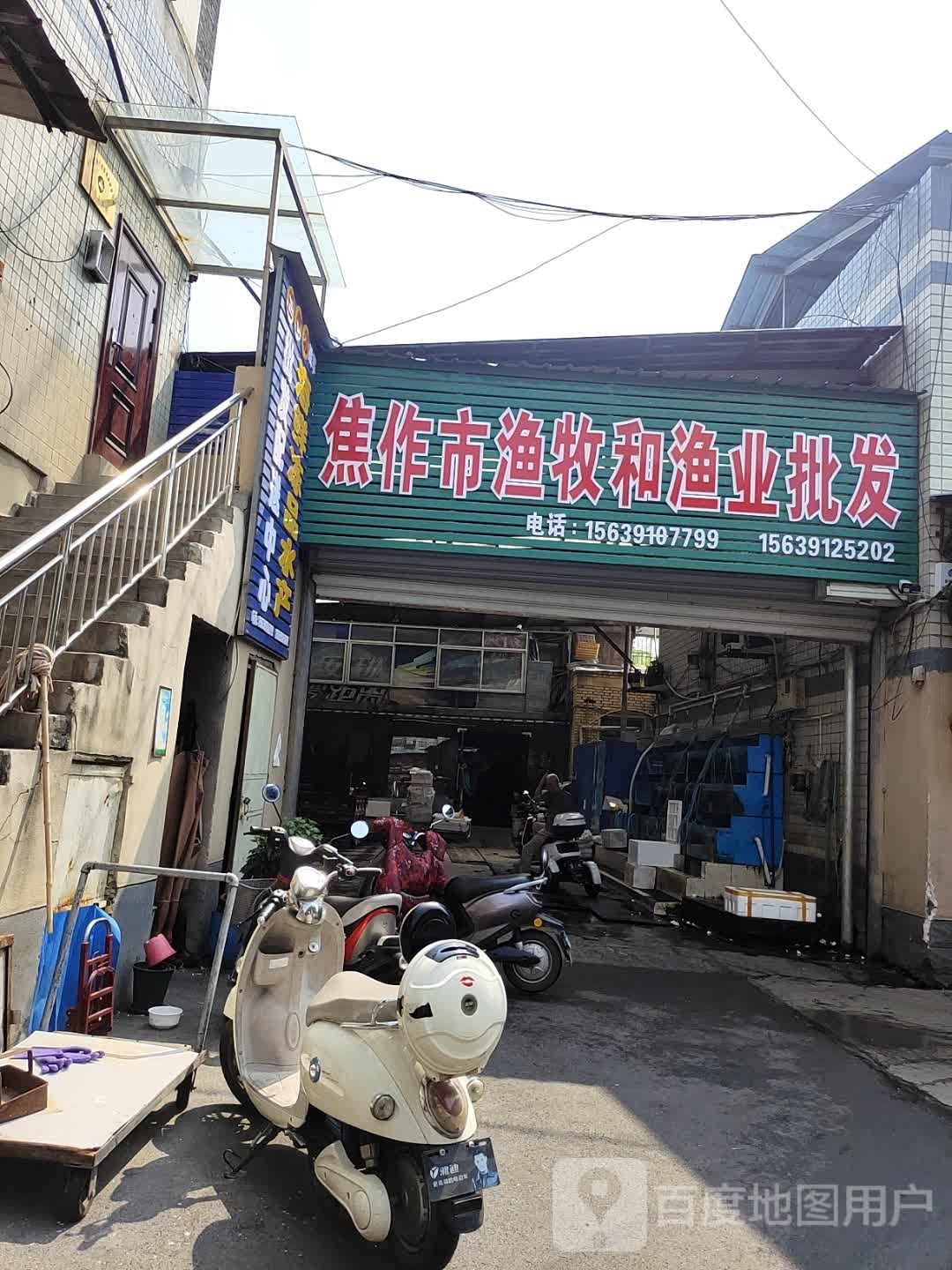 焦作市渔牧和渔业批发