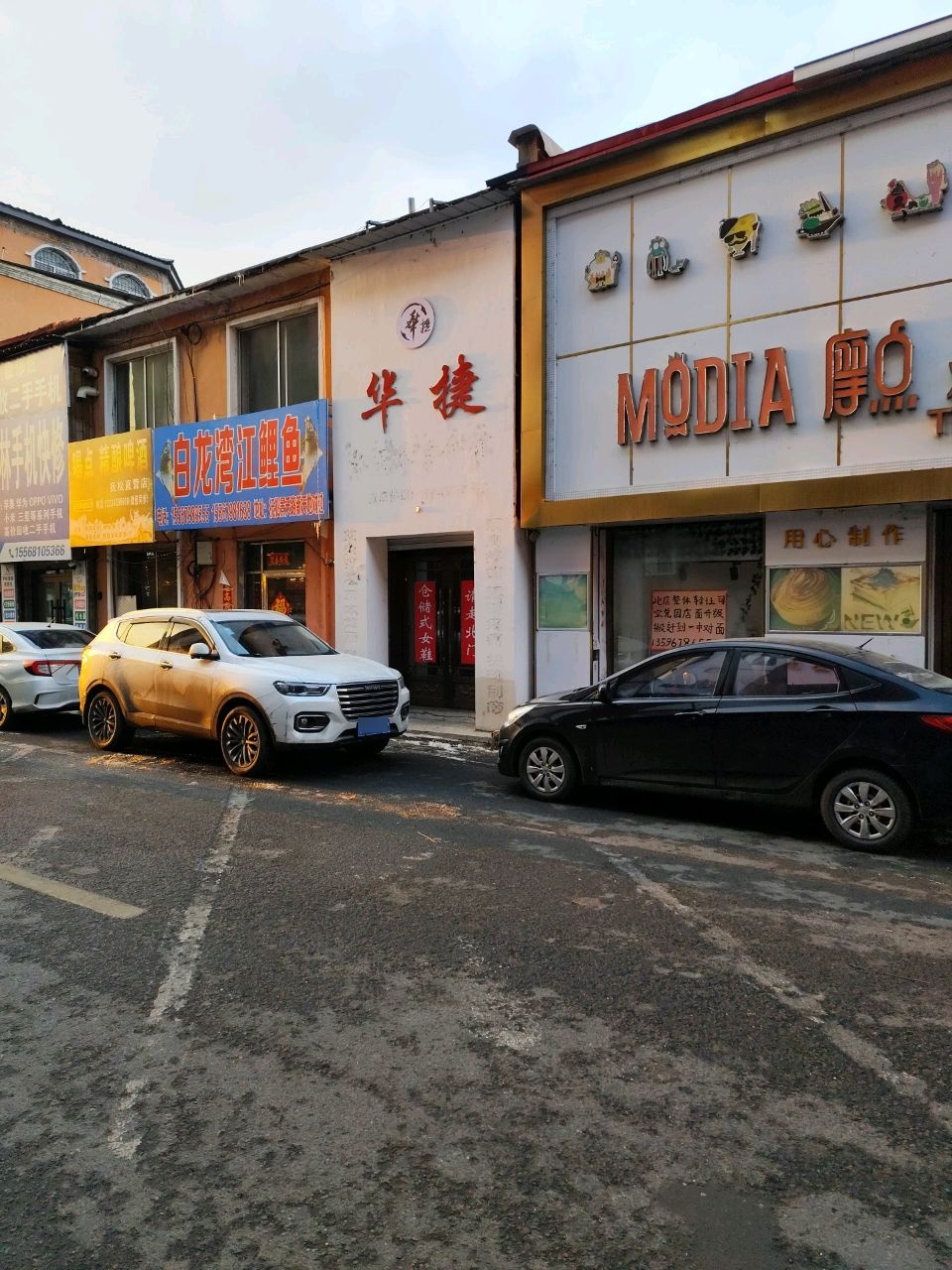 白龙湾江鲤鱼