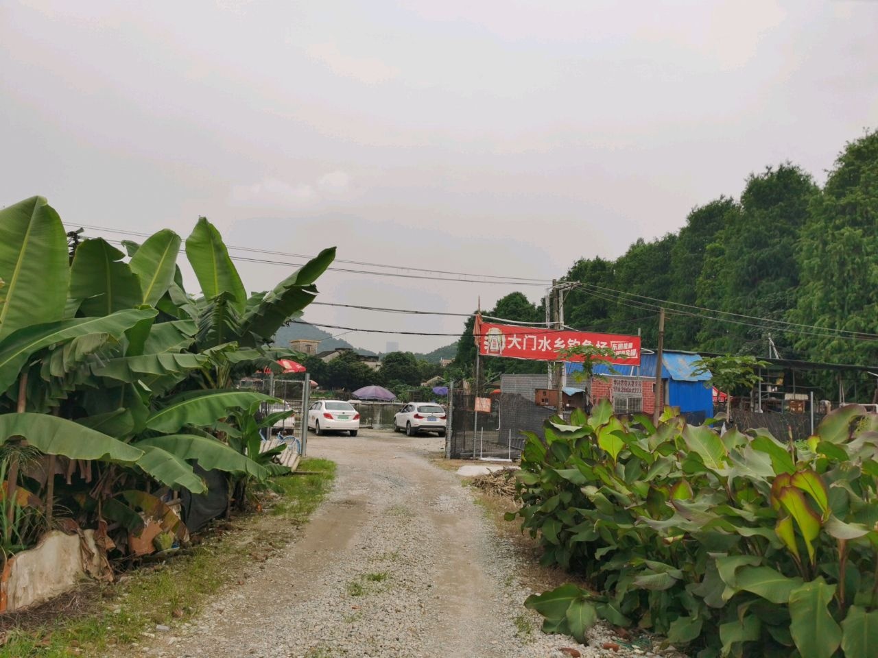 大门钓鱼场