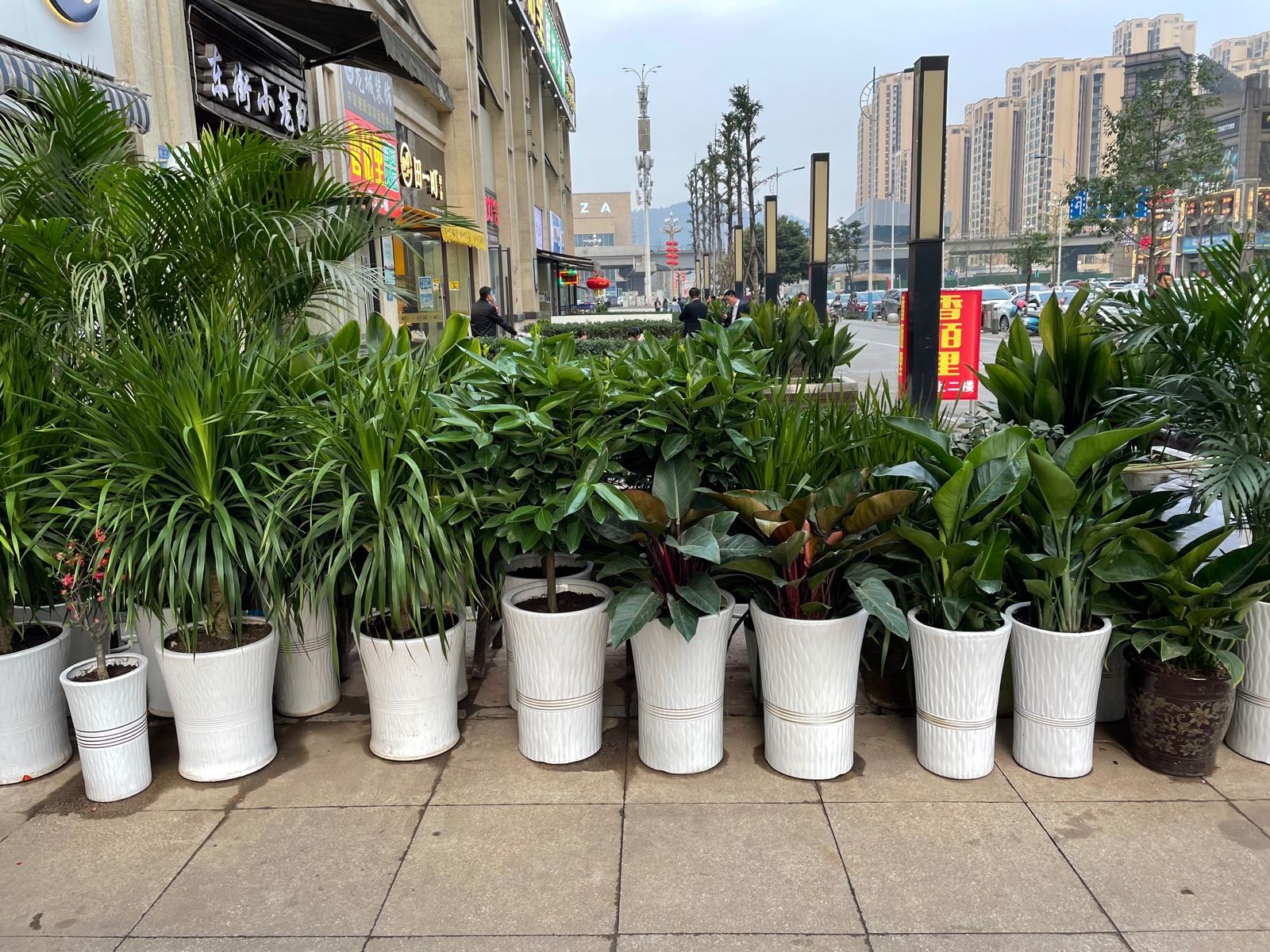 花与花语花店(临港中央店)
