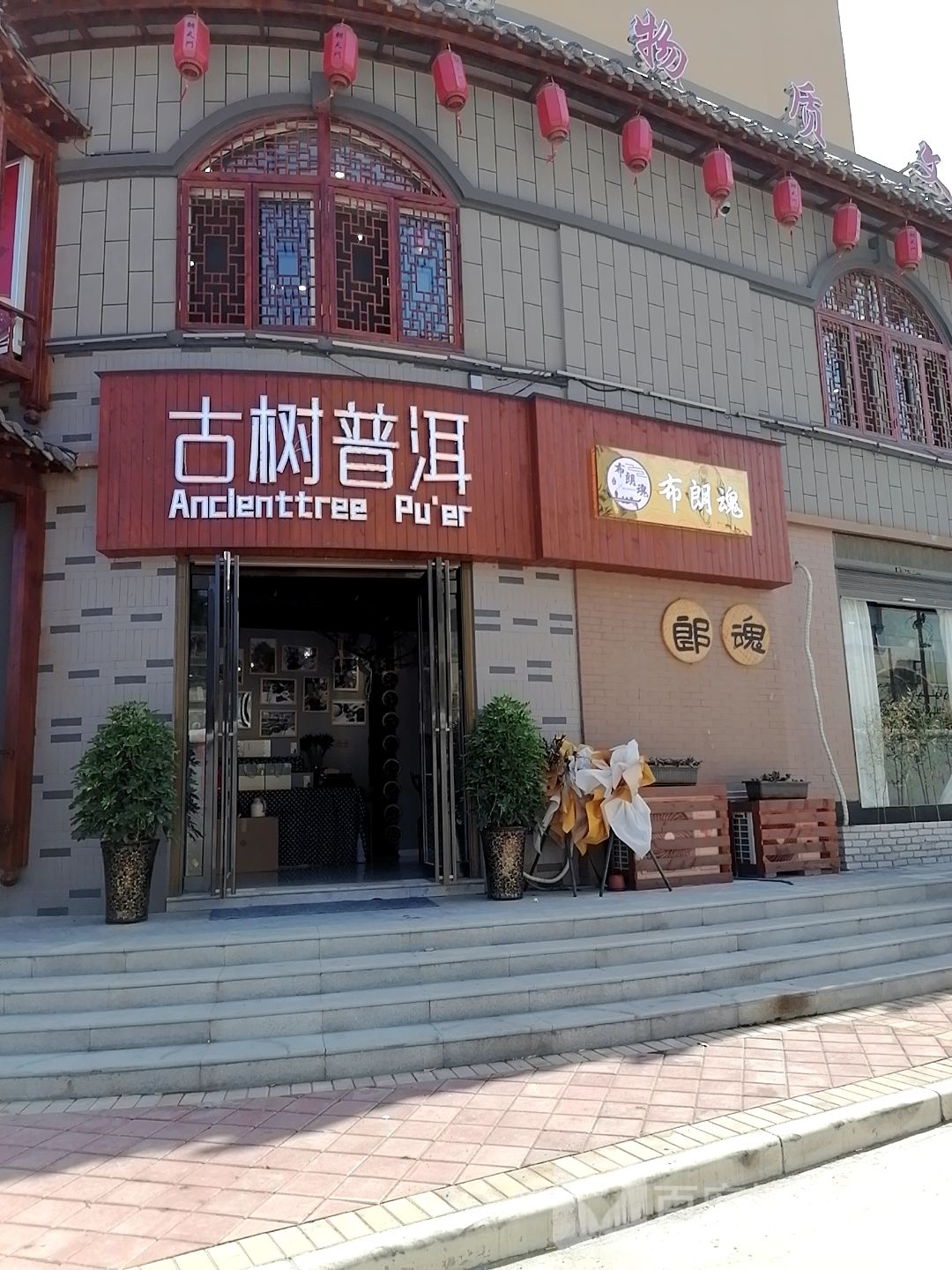 古树普洱(文昌大道店)