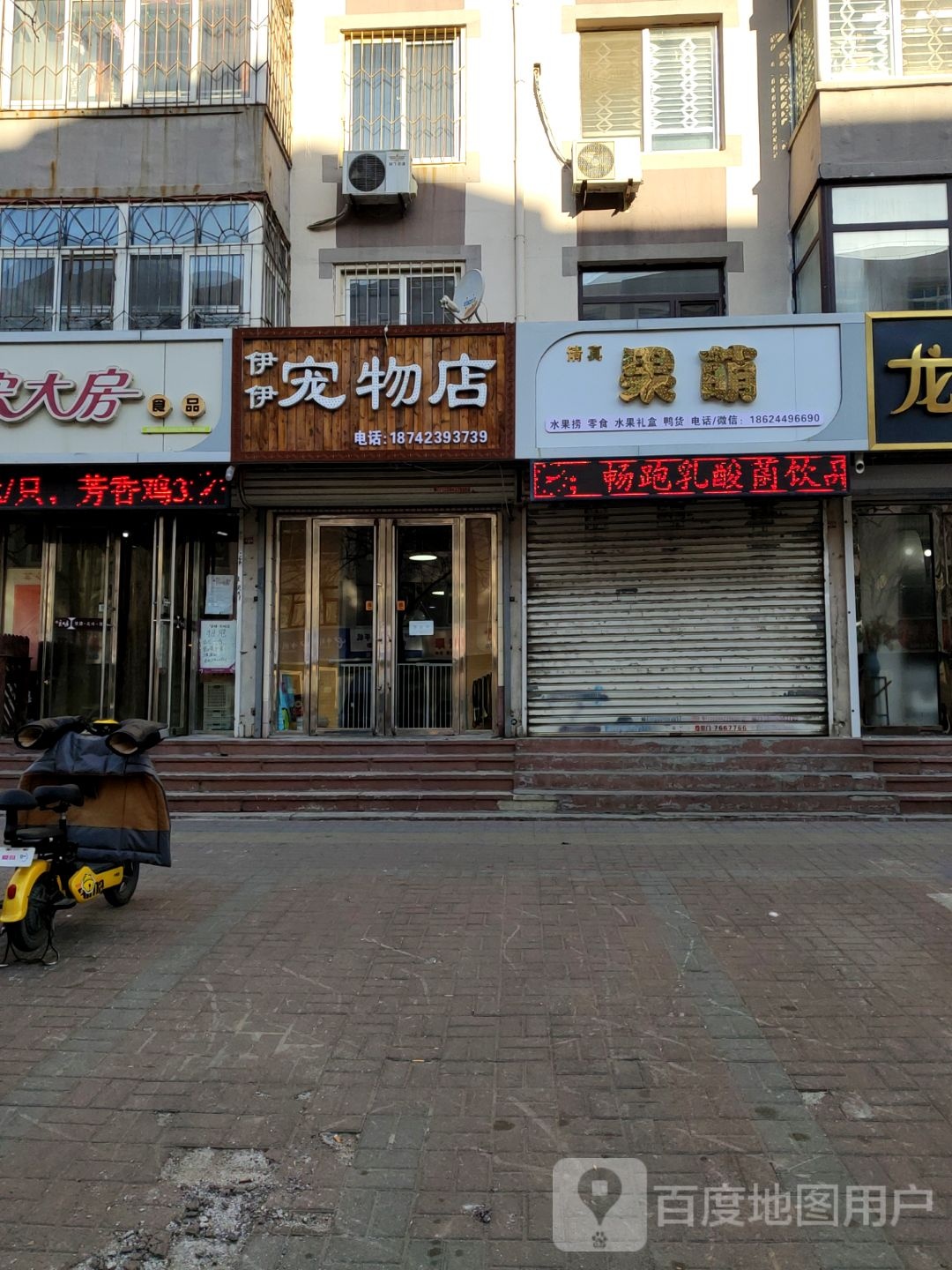 伊伊宠物店