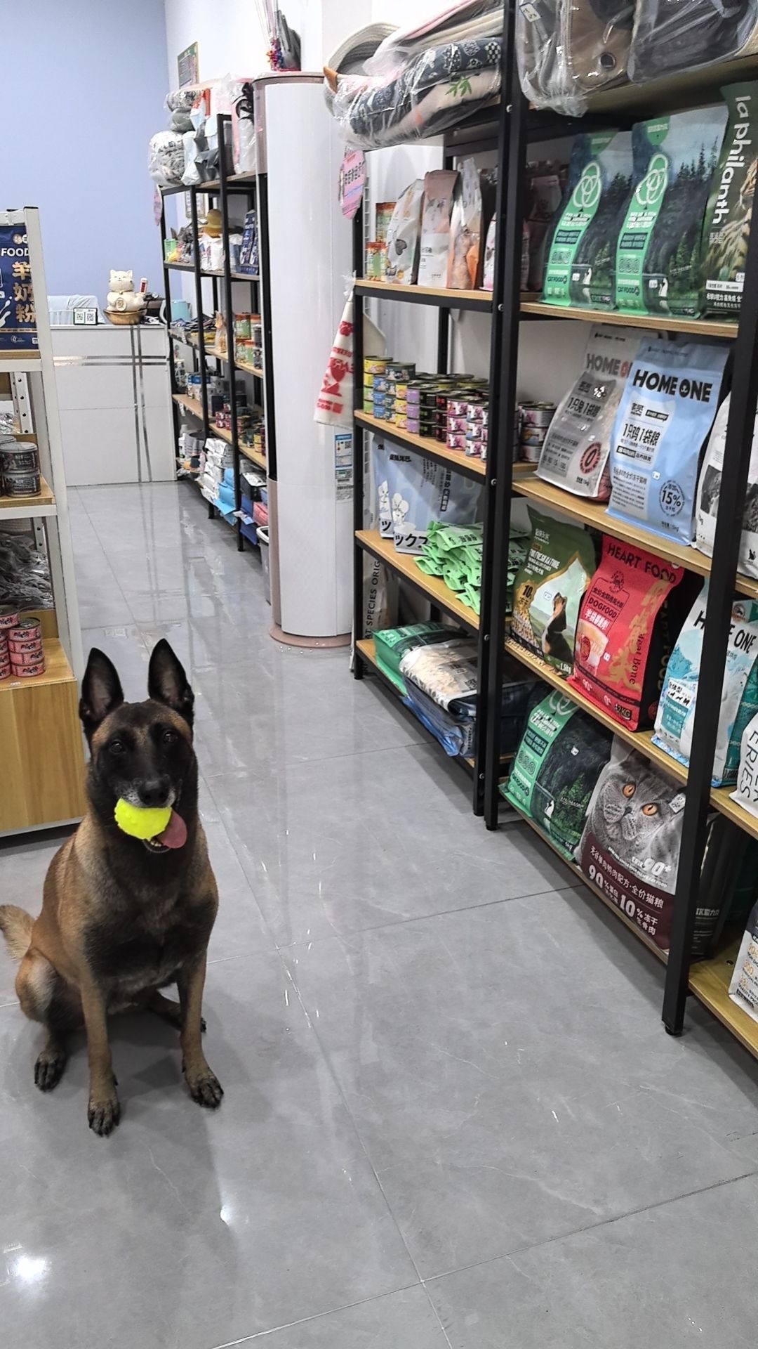 宠物店家(湖心西路店)