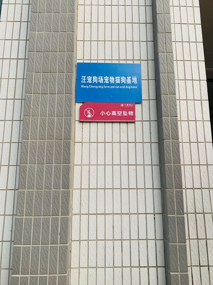 汪宠狗场宠物猫狗基地