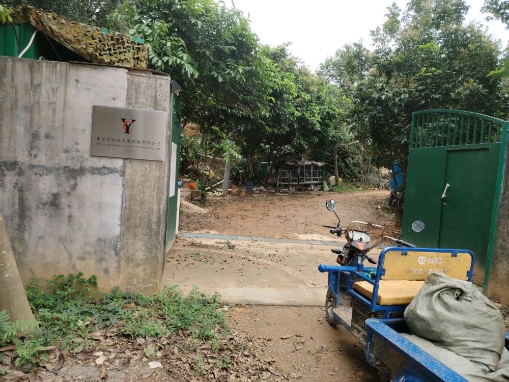 东莞市城颖水果种植有限公司