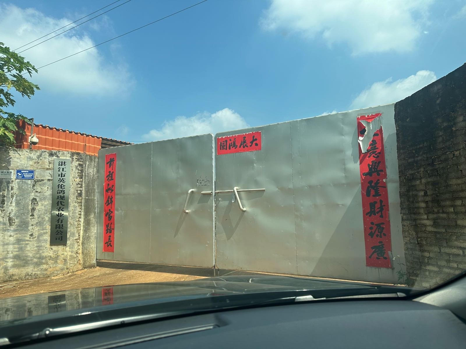 湛江市英伦鸽现代农业有限公司