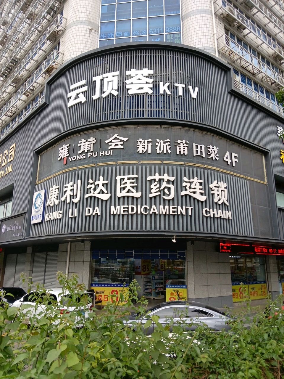 云顶荟