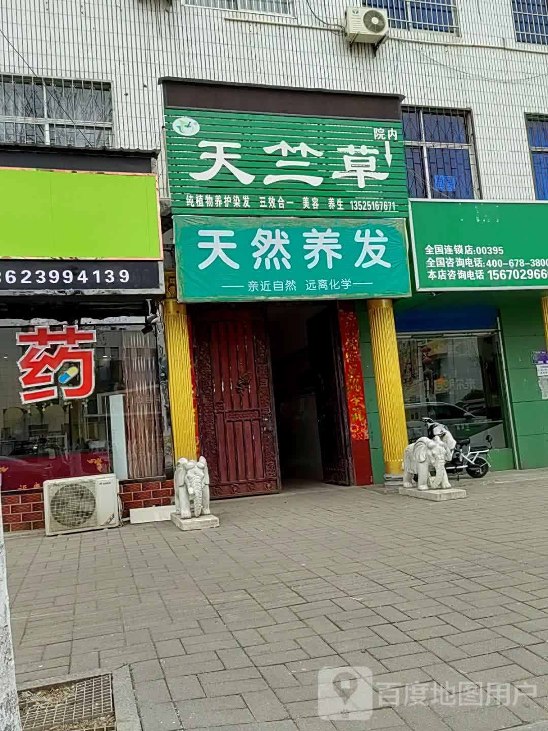 内乡县天竺草(灵山路店)