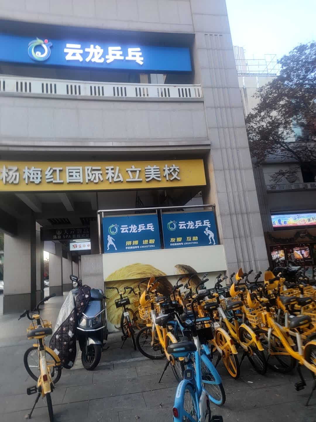 云龙乒乓(梅川路店)